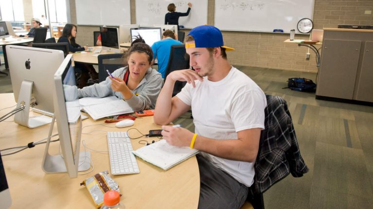 What To Do After Your College For A Job Placement