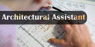 Entry Level Architect Assistant at Feijoa Investment Limited