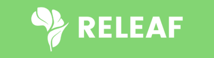 Internal Auditor - Inventory at Releaf
