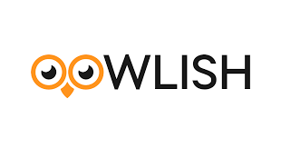 Senior Software Programmer - Python and React (Remote) at a Fintech Company - Oowlish Technology - Abuja