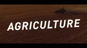 Legal Adviser and Human Resources Manager at a Technology-based Farm