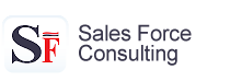 Accountant at a Major Importation Trading Company - Sales Force Consulting