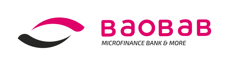 Digital IT Intern at Baobab Microfinance Bank