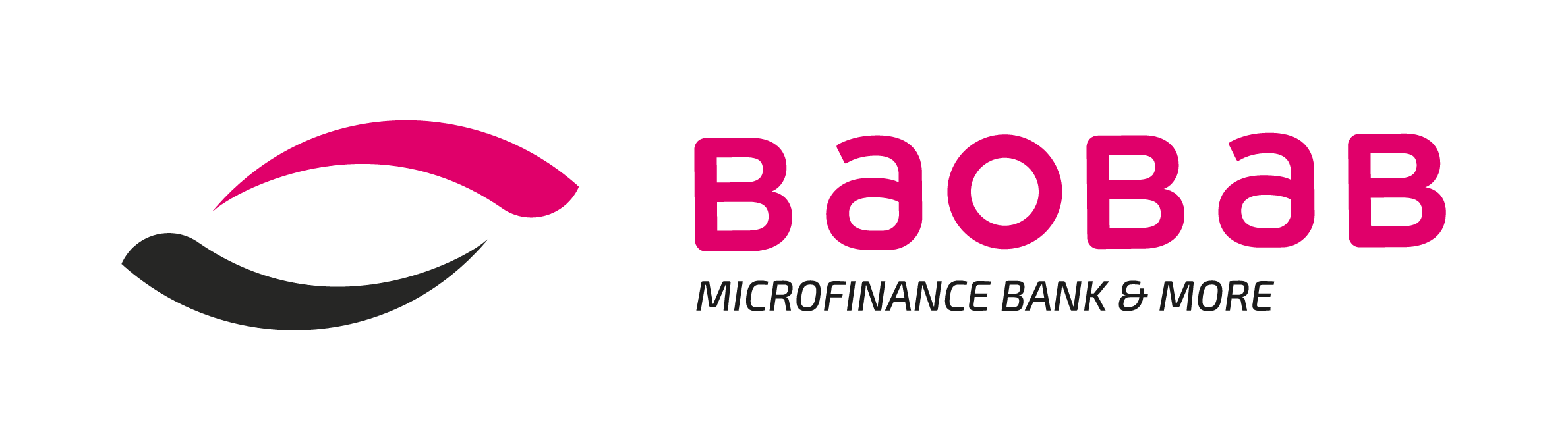 Digital IT Intern at Baobab Microfinance Bank