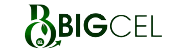 Graduate Administrative Officer at a Luxury Fashion Brand - Bigcel Limited