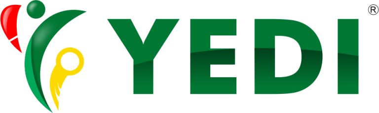 Manager - Communication and External Relations at Youth Empowerment and Development Initiative (YEDI)