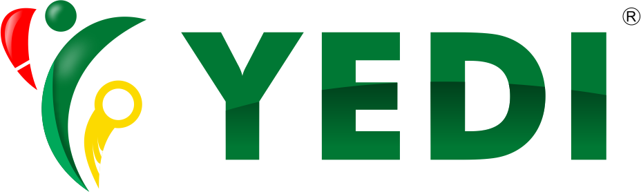 Manager - Communication and External Relations at Youth Empowerment and Development Initiative (YEDI)