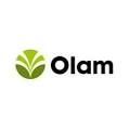 Regenerative Agriculture Lead at Olam International Limited