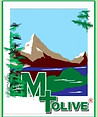 Head, Internal Audit at Mt. Olive Nigeria Limited