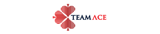 Sales Executive at TeamAce Limited (Lagos and Rivers)