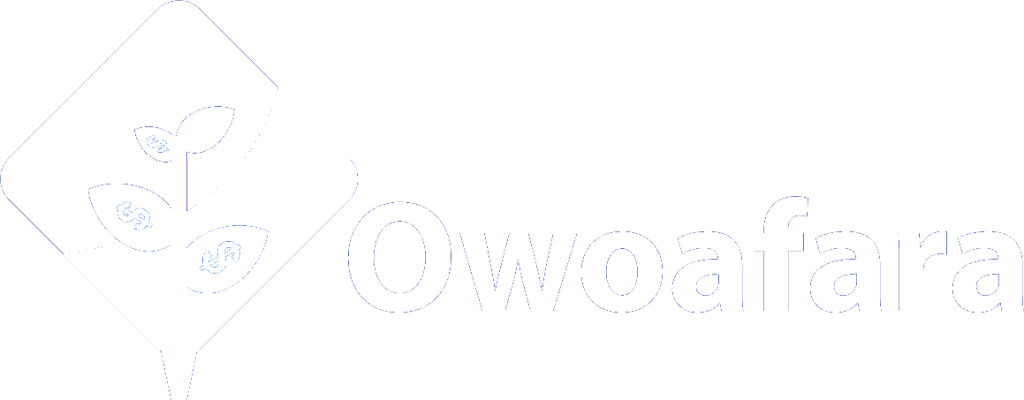 Experienced Business Development Executive at Owoafara Fintech Services Limited
