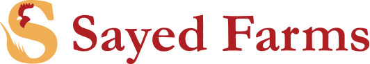 Business Development Executive at Sayed Farms Limited