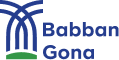 Financial Planning and Analysis Manager at Babban Gona Farmer Services Nigeria Limited