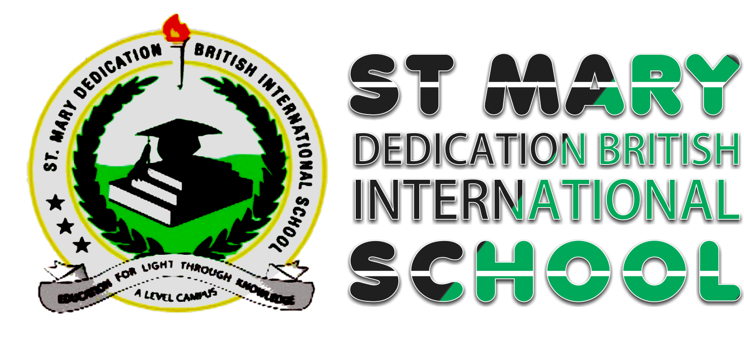School Cleaners at St. Mary Dedication British International High Schools