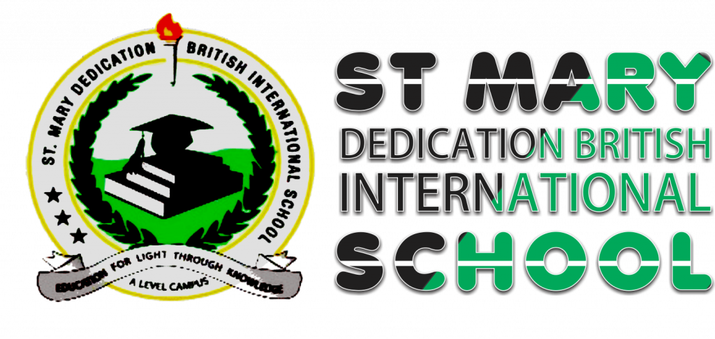 Social Studies and Business Studies Teacher at St. Mary Dedication British International High Schools