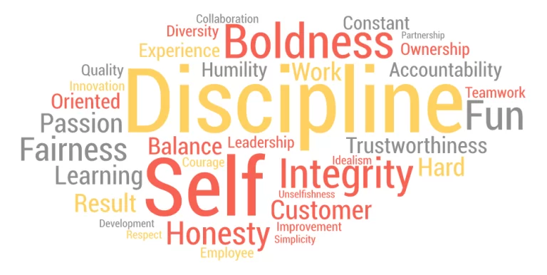What Are The 6 Core Values That Attract Applicants