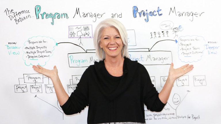 Program Manager