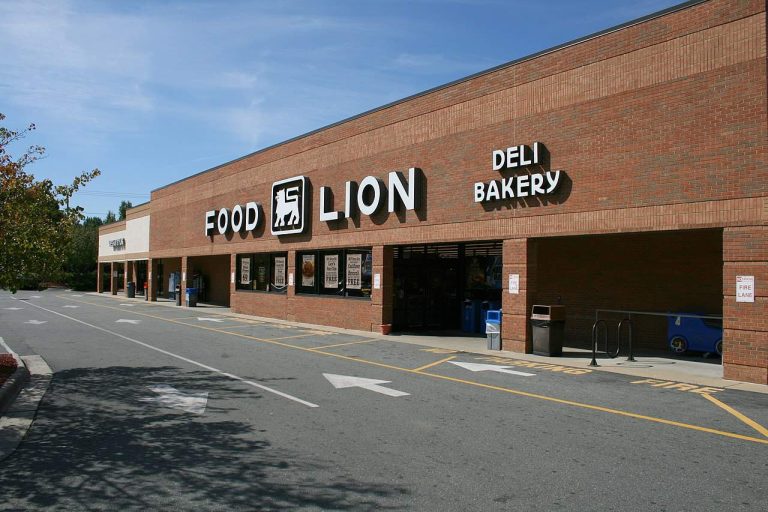 Does Food Lion Drug Test