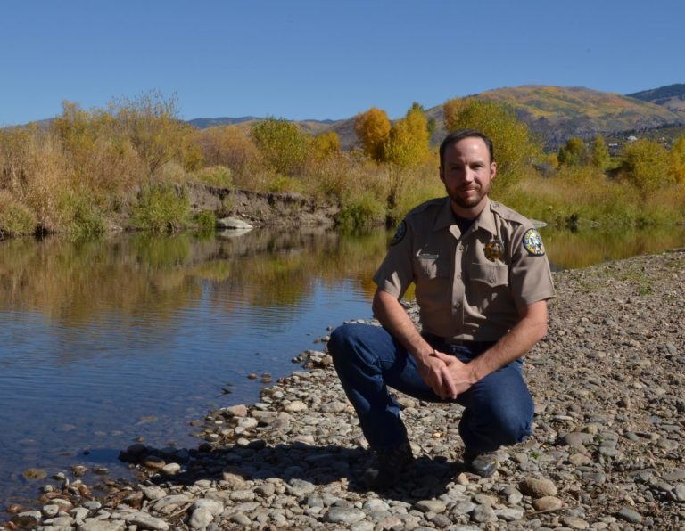 Wildlife Manager