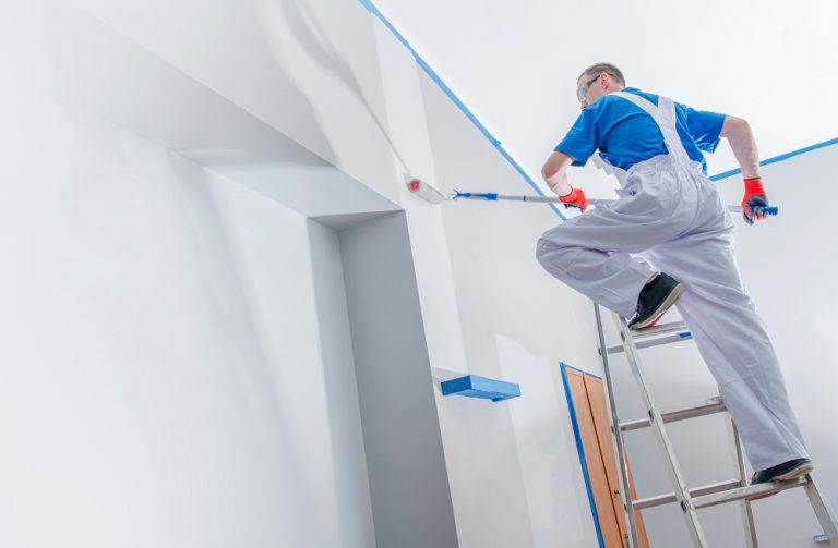 Professional Painter