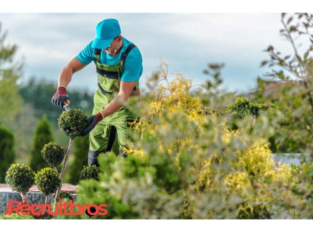 Jobs That Start With T